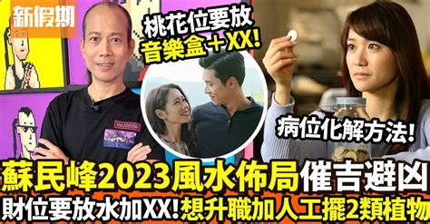 蘇民峰家居風水2023|蘇民峰家居風水佈局｜橫梁壓頂點化解？如何催旺姻緣